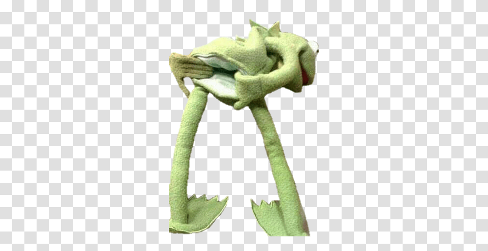 Kermit Kermitthefrog Frog Sticker By Starrlette Decay Kermit Spreading Meme, Plant, Knot, Knitting, Face Transparent Png