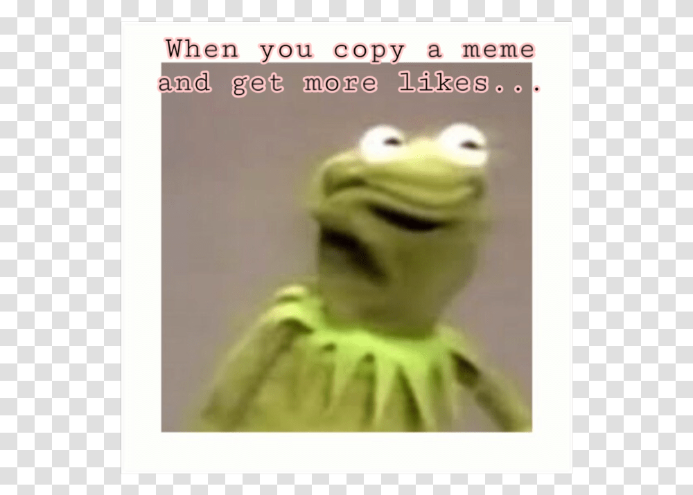 Kermit Meme Kermit The Frog Meme Face, Reptile, Animal, Lizard, Gecko Transparent Png