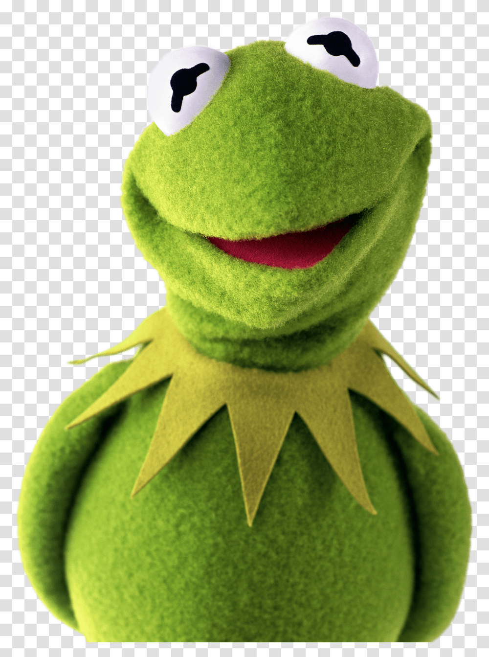 Kermit Meme Memes Muppets Freetoedit Freetoedit Kermit The Frog, Plush, Toy, Plant, Green Transparent Png