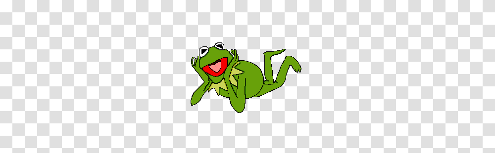 Kermit The Frog, Amphibian, Wildlife, Animal, Dynamite Transparent Png