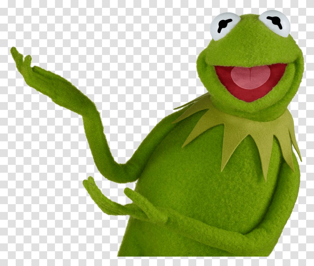 Kermit The Frog, Amphibian, Wildlife, Animal, Green Transparent Png
