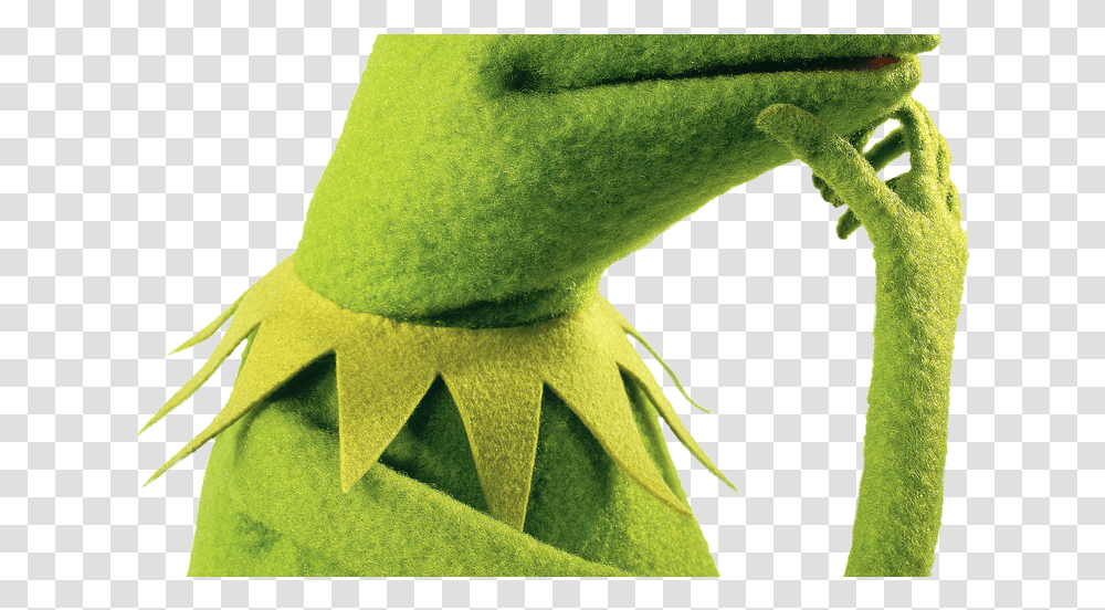 Kermit The Frog For Free Download On Mbtskoudsalg Kermit The Frog Hmmm, Plant, Animal, Fish, Reptile Transparent Png