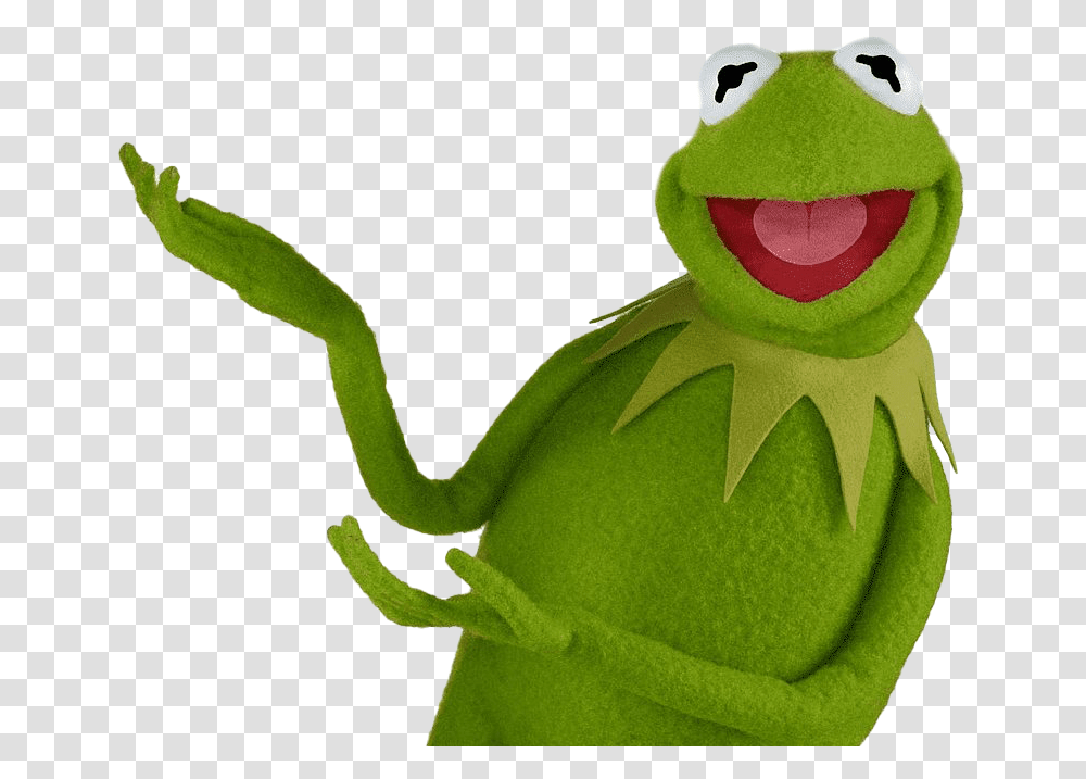 Kermit The Frog Images, Amphibian, Wildlife, Animal, Toy Transparent Png