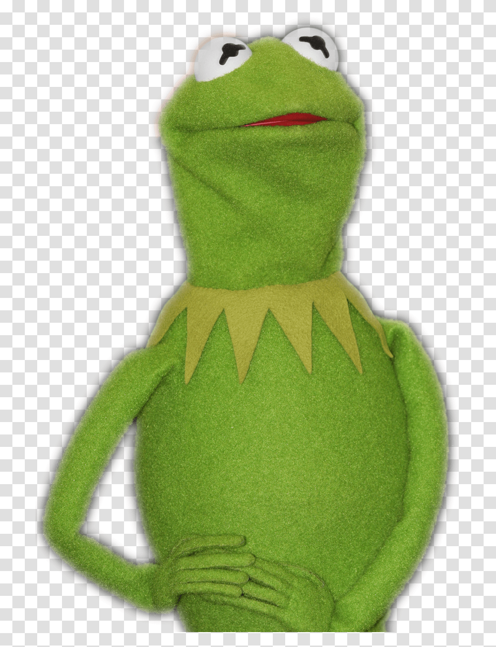 Kermit The Frog Kermit The Frog, Plush, Toy, Plant, Hoodie Transparent Png