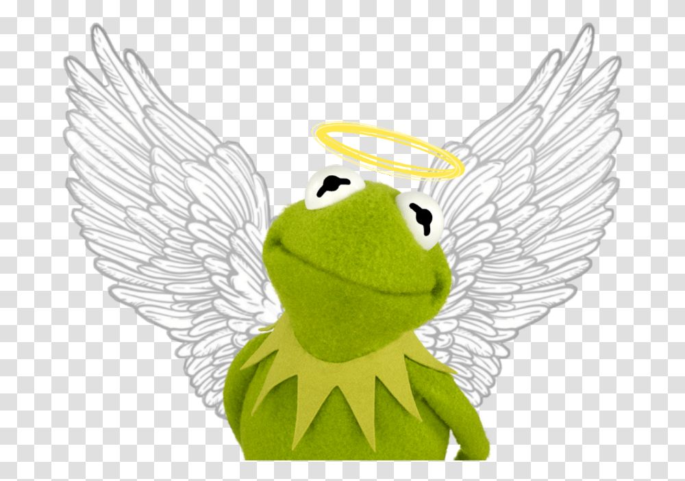 Kermit The Frog Kermit Thefrog Angel Wing Wings Kermit The Frog Meme, Cupid, Amphibian, Wildlife Transparent Png