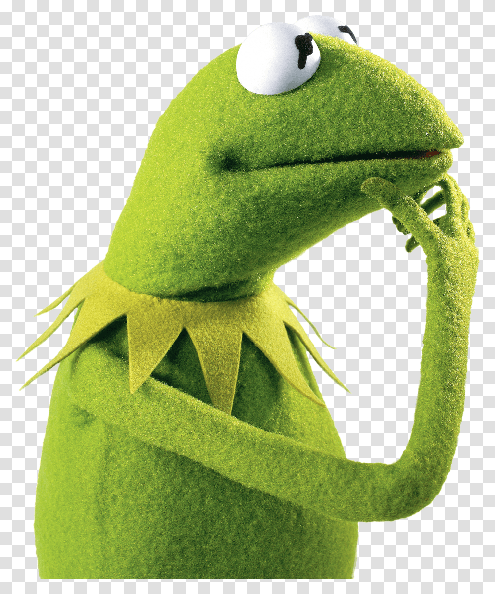 Kermit The Frog Thinking Kermit The Frog Profile, Animal, Gecko, Lizard, Reptile Transparent Png
