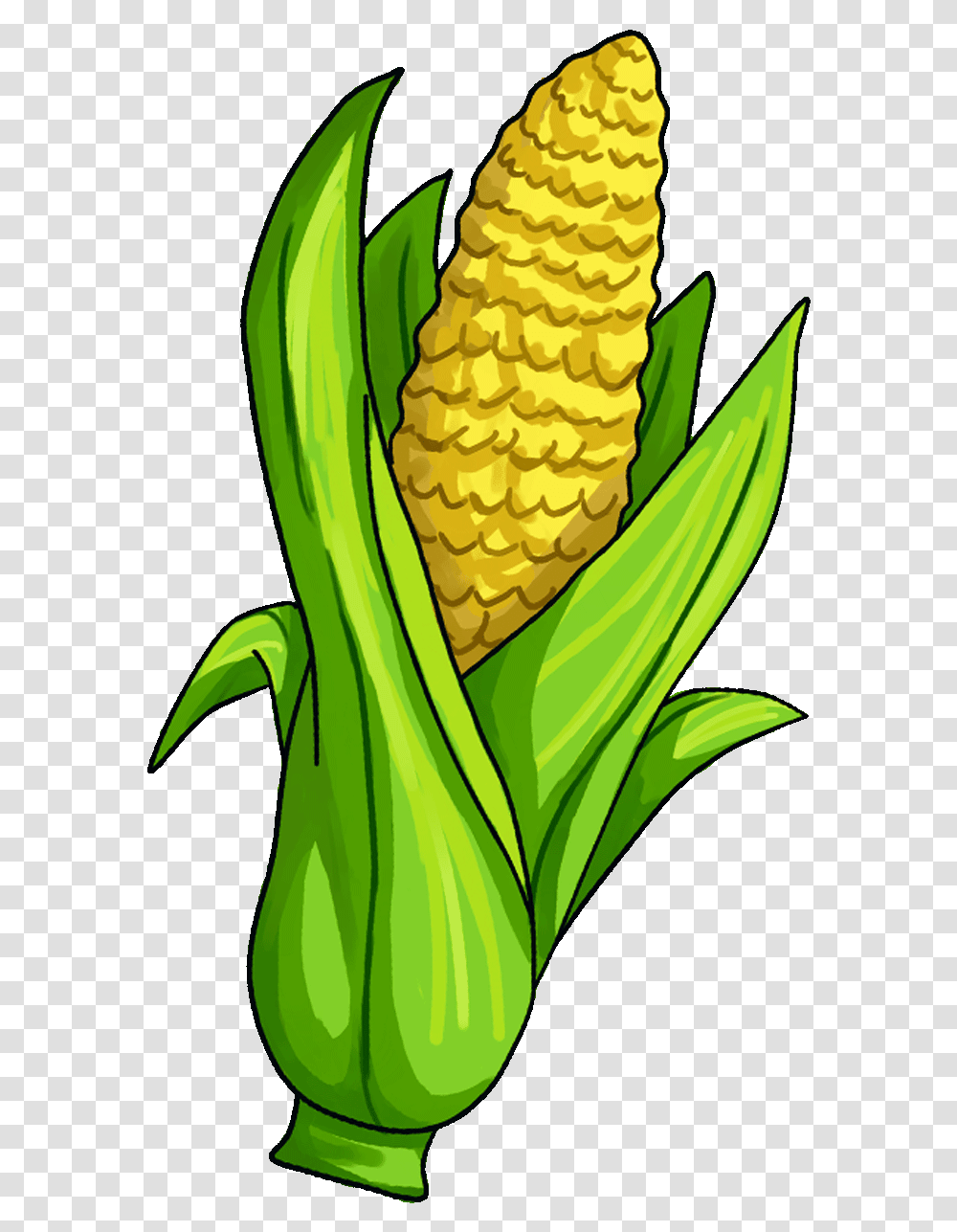 Kernel Clipart Canned Corn Background Corn Clipart, Plant, Vegetable, Food, Bird Transparent Png