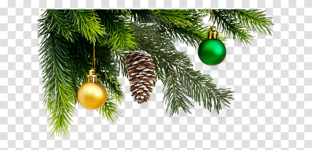 Kerst Afbeelding Witte Achtergrond, Tree, Plant, Ornament, Fir Transparent Png