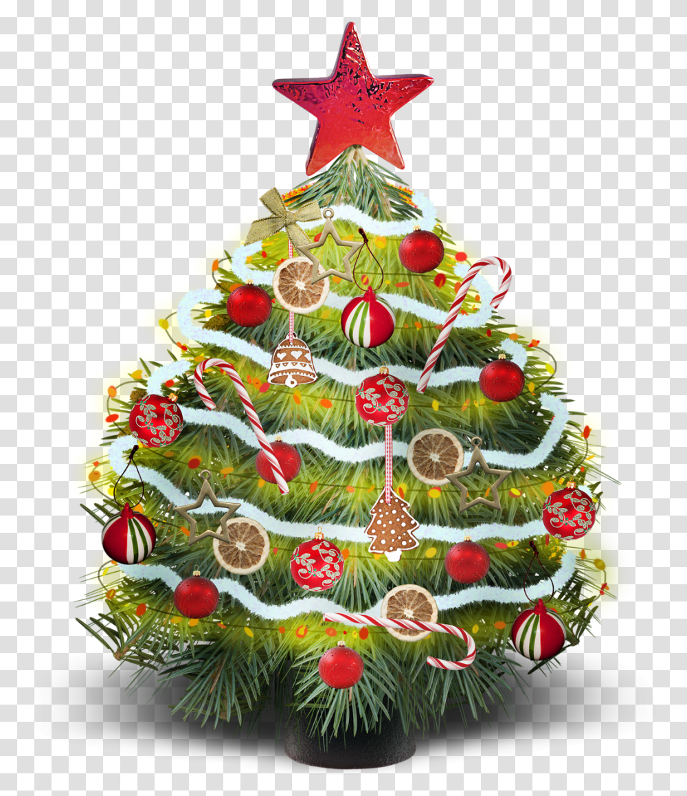 Kerstboom Kerst, Tree, Plant, Christmas Tree, Ornament Transparent Png