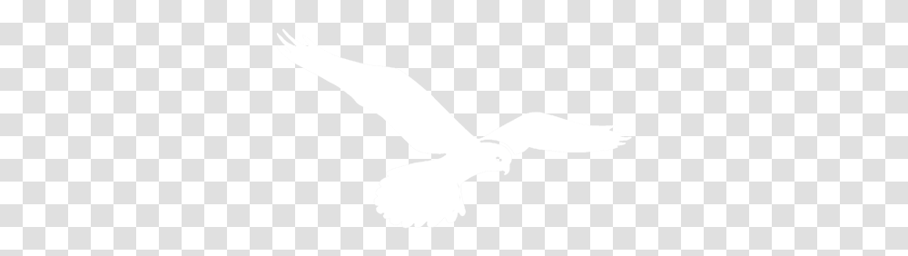 Kestrel Logo In White Roblox, Animal, Bird, Dove, Pigeon Transparent Png