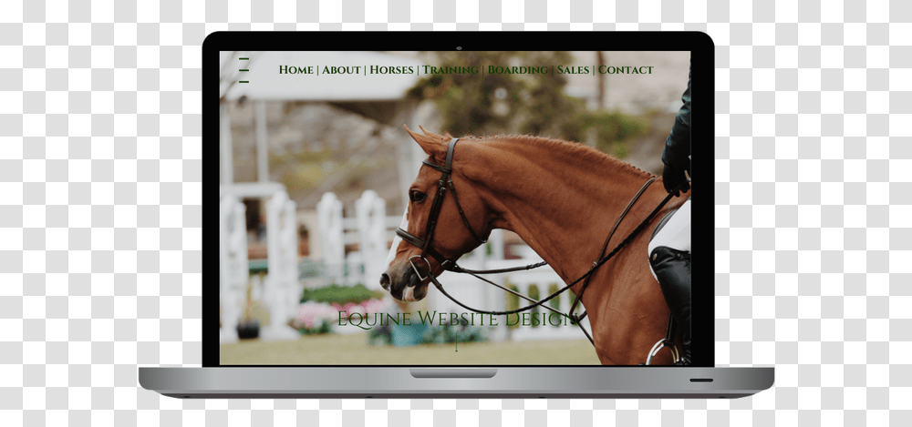 Ketamine Horse, Mammal, Animal, Monitor, Screen Transparent Png