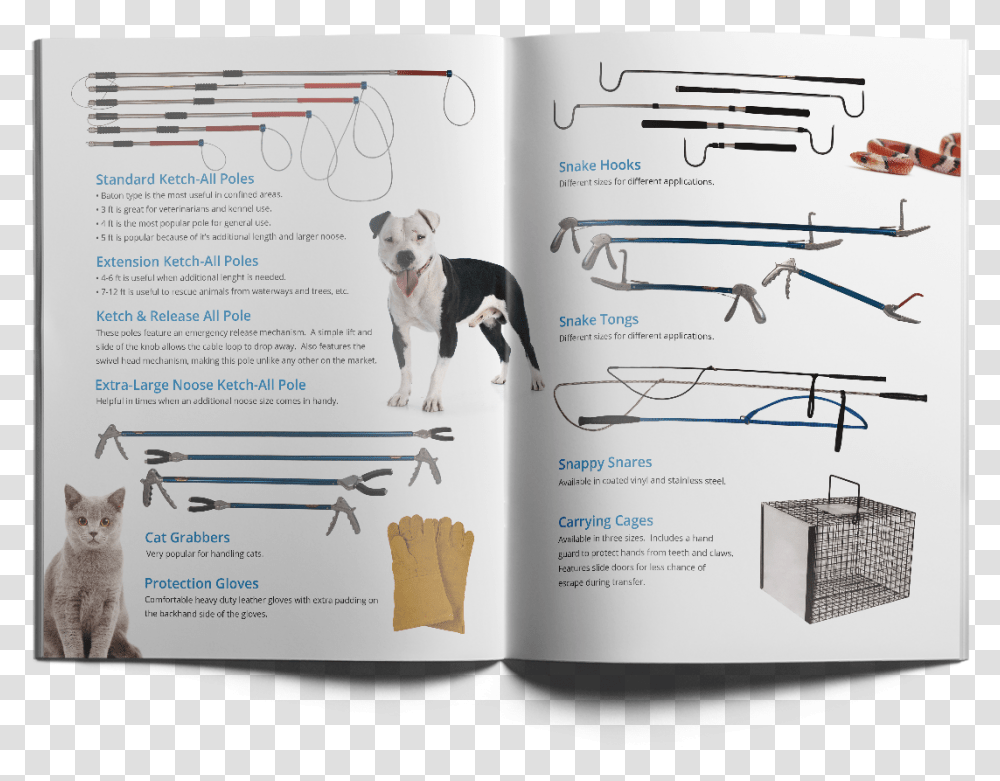 Ketch All Brochure Design San Luis Obispo Companion Dog, Poster, Advertisement, Flyer, Paper Transparent Png