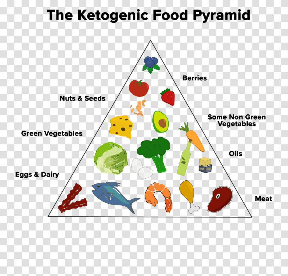 Ketogenic Food Pyramid Rough Guide, Triangle, Tree, Plant, Shelf Transparent Png
