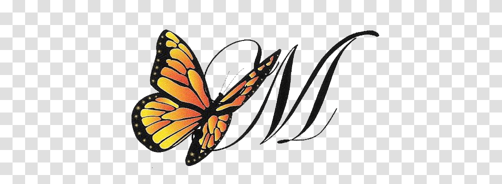 Kevin M Mason Funeral Home, Insect, Invertebrate, Animal, Butterfly Transparent Png