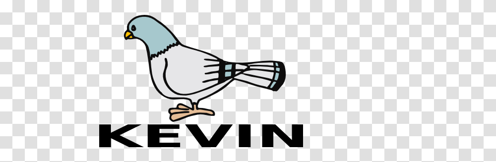 Kevin Pigeon Clip Art, Jay, Bird, Animal, Blue Jay Transparent Png