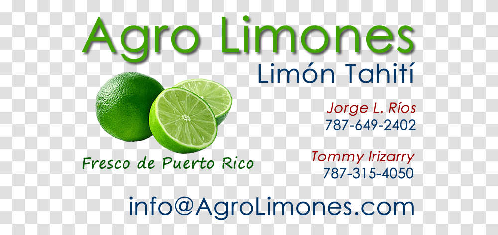 Key Lime, Citrus Fruit, Plant, Food, Flyer Transparent Png