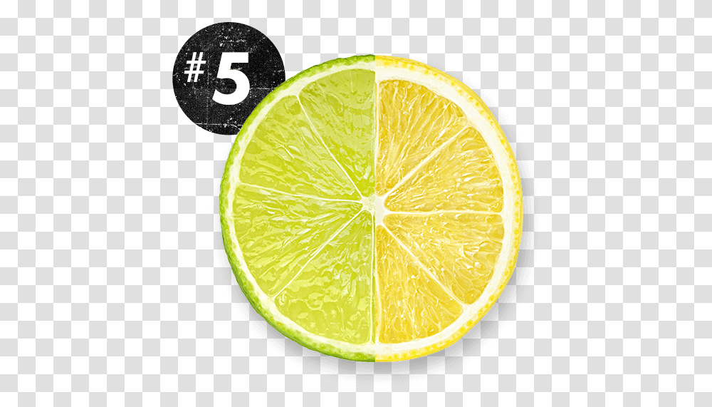 Key Lime, Citrus Fruit, Plant, Food, Orange Transparent Png