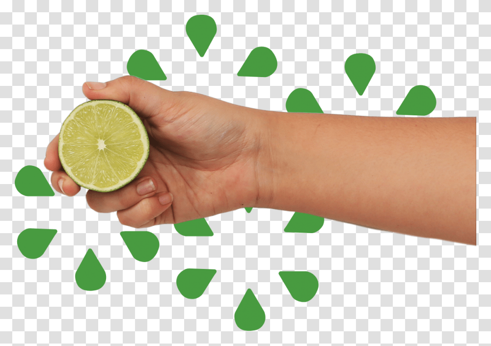 Key Lime, Citrus Fruit, Plant, Food, Person Transparent Png