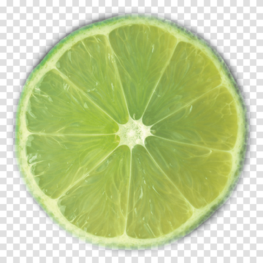 Key Lime, Citrus Fruit, Plant, Food, Tennis Ball Transparent Png