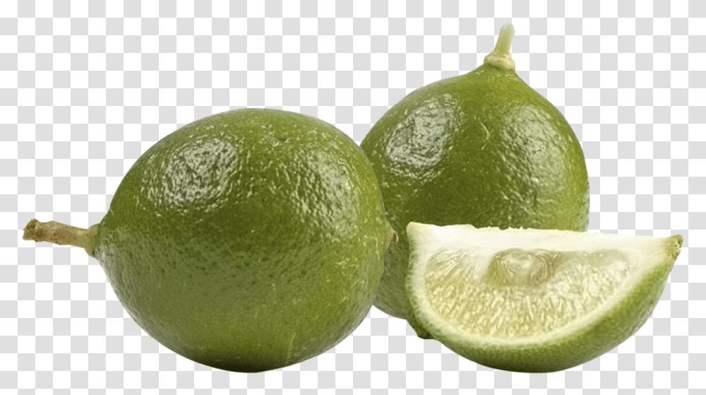 Key Limes Key Lime, Citrus Fruit, Plant, Food, Tennis Ball Transparent Png