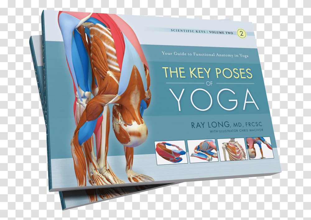 Key Muscles Of Yoga Book, Advertisement, Poster, Flyer, Paper Transparent Png