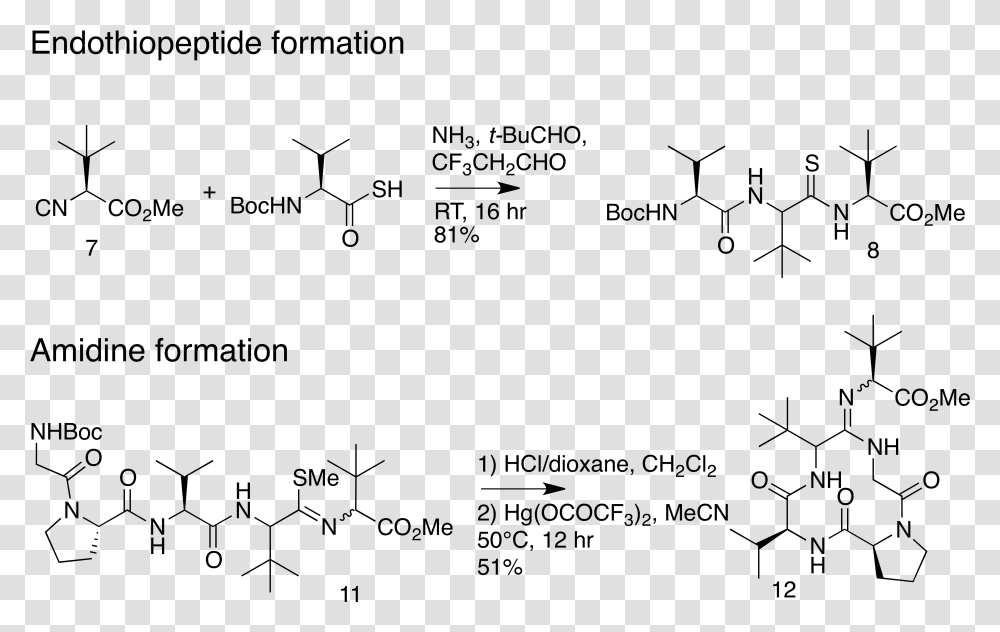 Key Steps In Alternative Macrocycle Synthesis Macrocycle Synthesis, Gray, World Of Warcraft Transparent Png