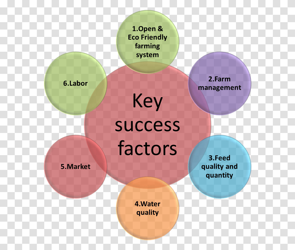 Key Success Factors, Diagram, Plot, Sphere Transparent Png