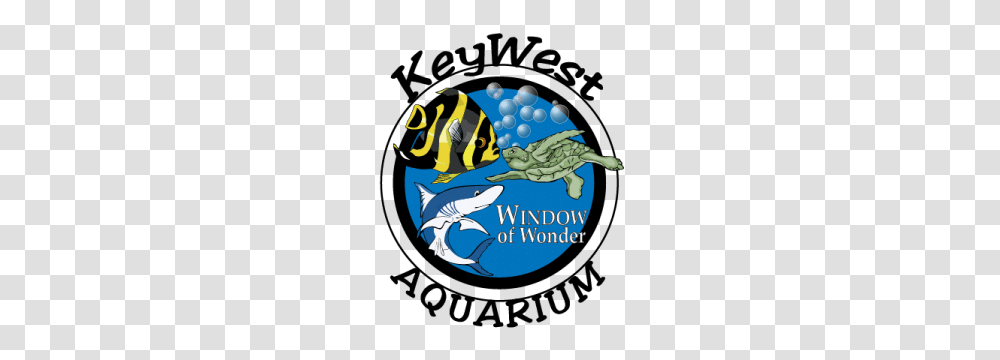 Key West Aquarium, Sea Life, Animal, Angelfish, Poster Transparent Png