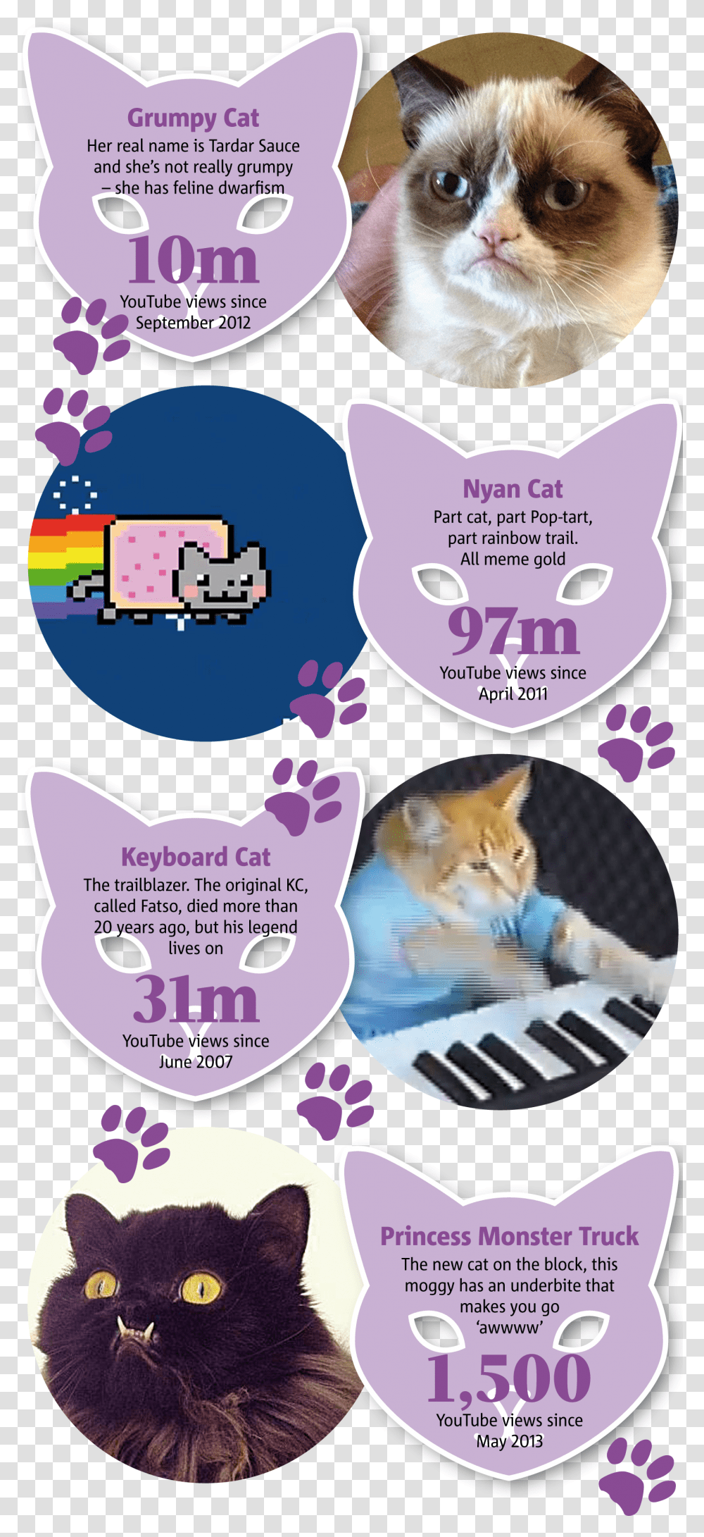 Keyboard Cat Meme Paw, Advertisement, Poster, Flyer, Paper Transparent Png