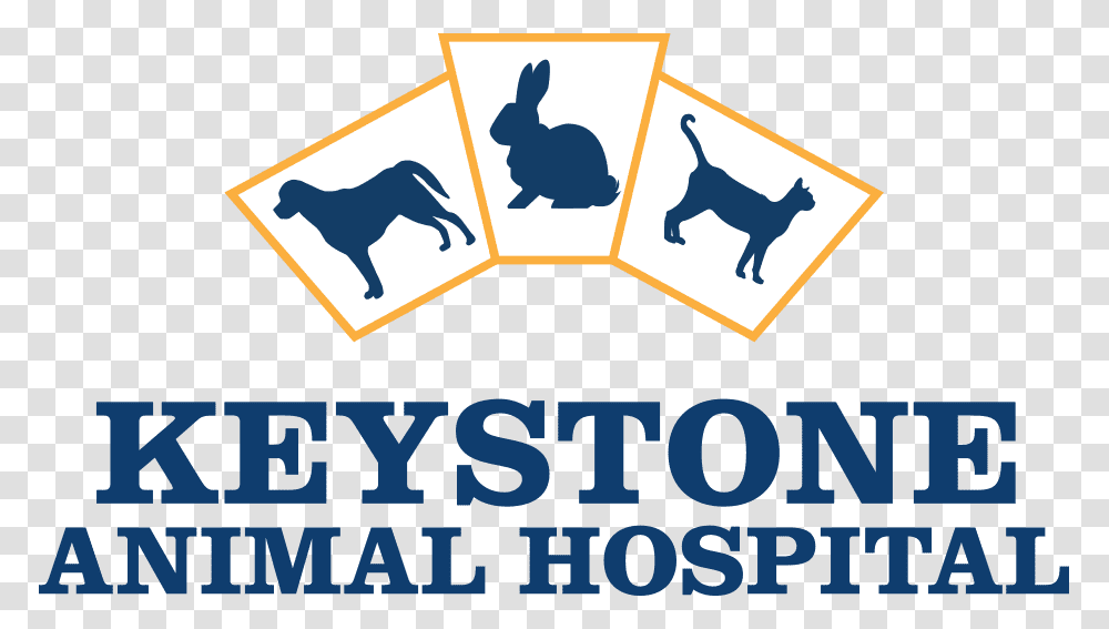 Keystone Animal Hospital Hoshizaki, Mammal, Dog, Pet, Canine Transparent Png