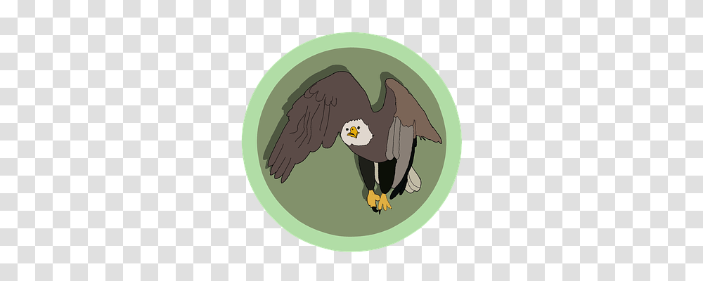 Keywords Nature, Eagle, Bird, Animal Transparent Png