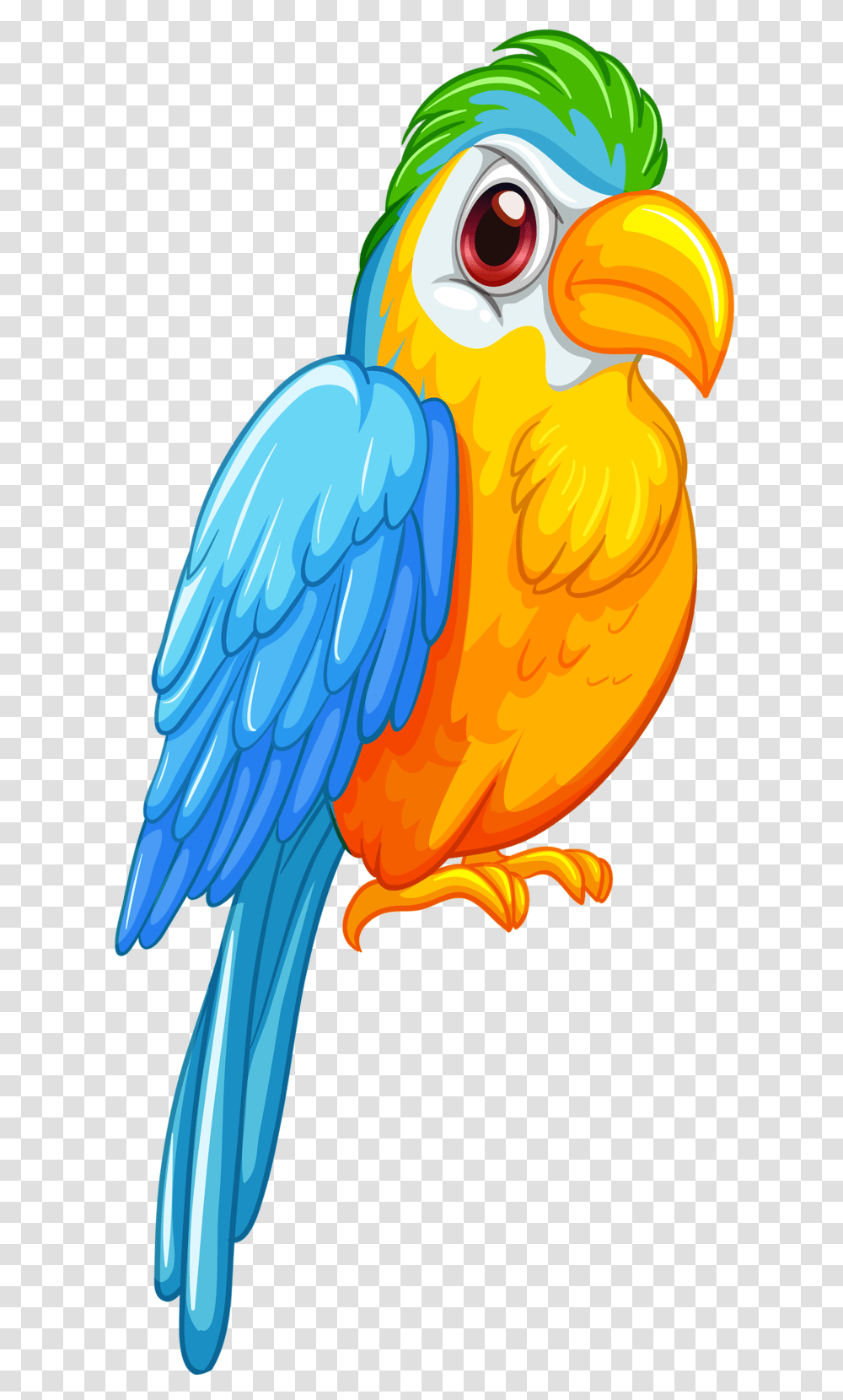 Kgiw, Bird, Animal, Macaw, Parrot Transparent Png