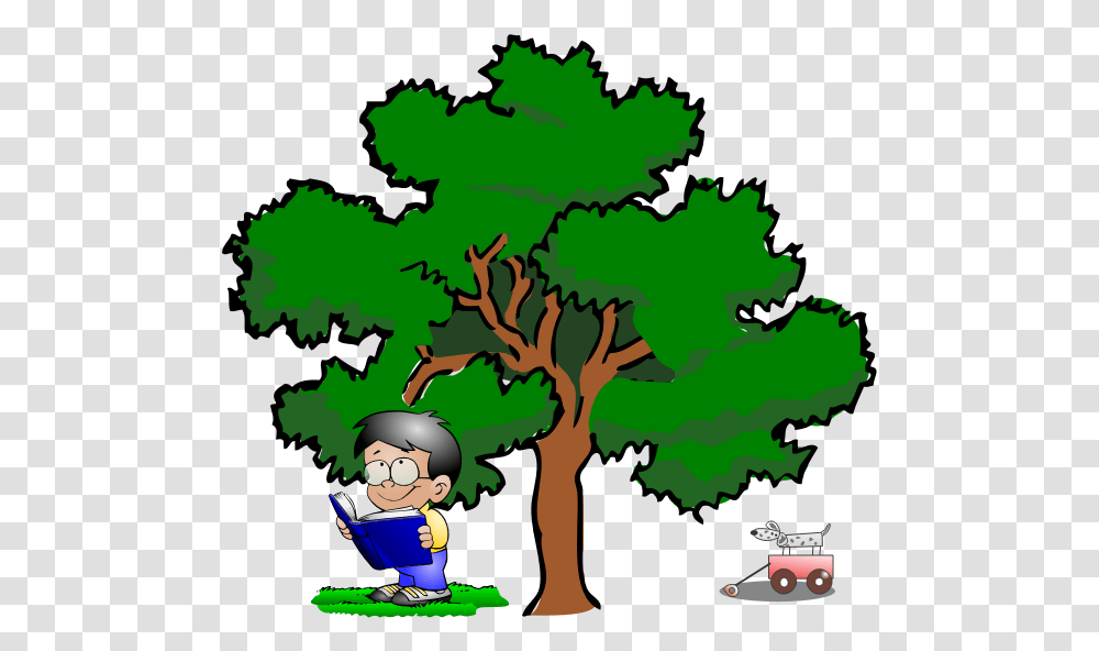 Kid Reading Live Oak Tree Clipart, Plant, Vegetation, Outdoors, Nature Transparent Png