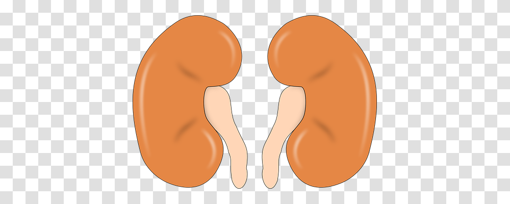 Kidney Person, Sand, Outdoors, Nature Transparent Png