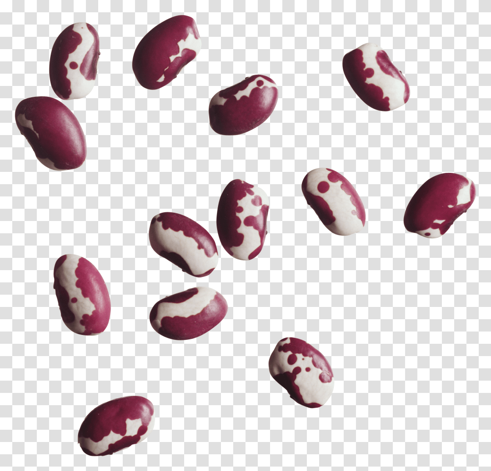 Kidney Beans Anasazi Beans, Plant, Vegetable, Food, Soy Transparent Png