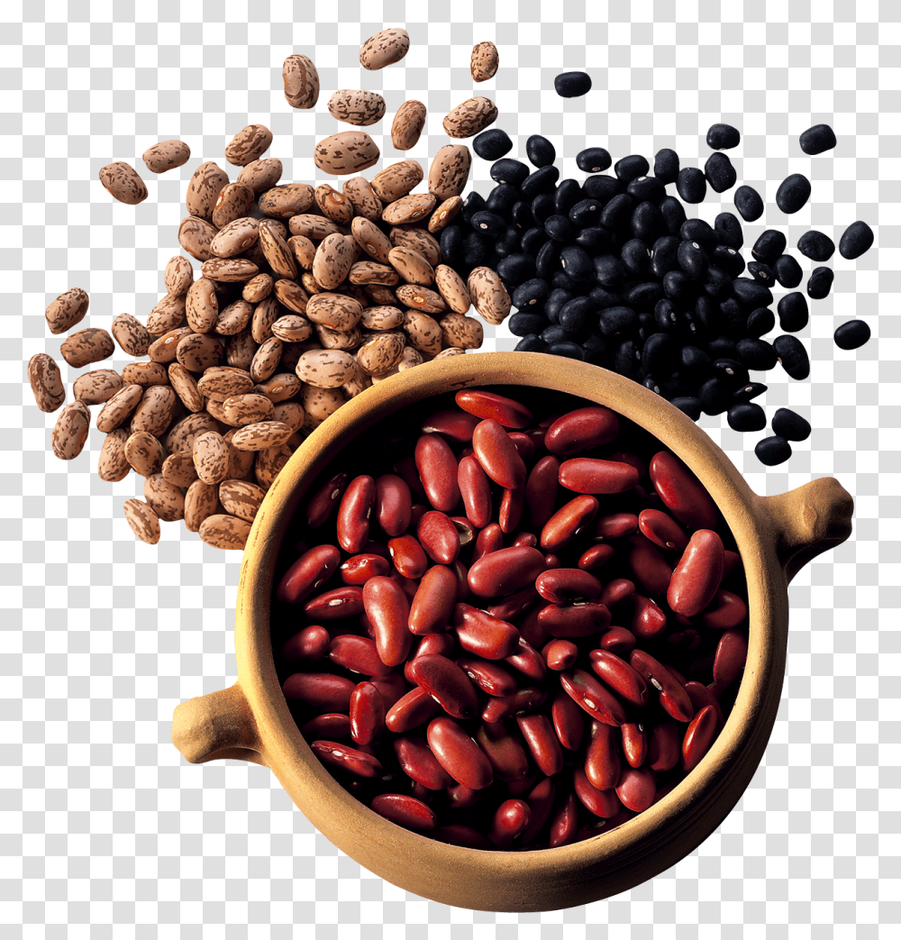 Kidney Beans Eating Beans Clipart, Plant, Vegetable, Food, Produce Transparent Png