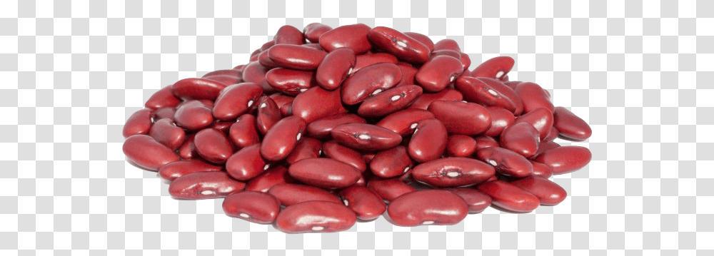 Kidney Beans High Quality Image, Plant, Vegetable, Food, Soy Transparent Png