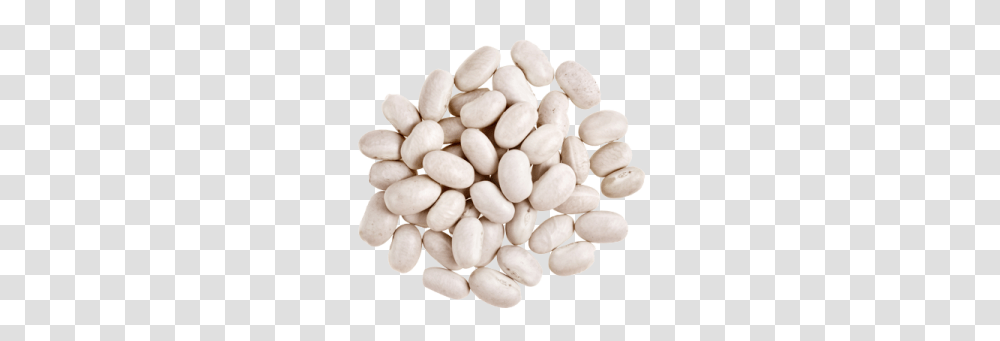 Kidney Beans, Vegetable, Plant, Food, Fungus Transparent Png