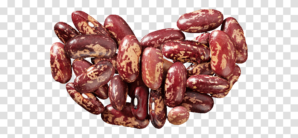 Kidney Beans, Vegetable, Plant, Food, Soy Transparent Png
