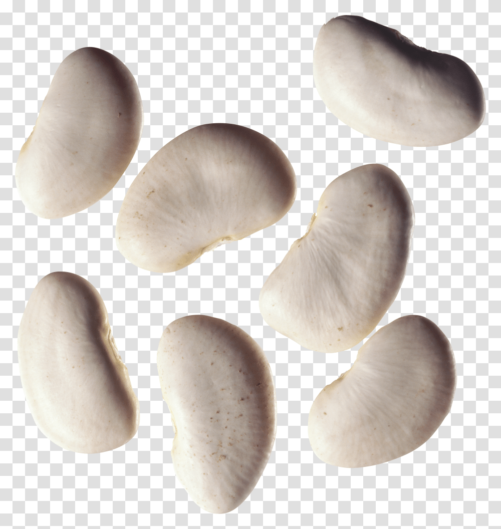 Kidney Beans, Vegetable Transparent Png