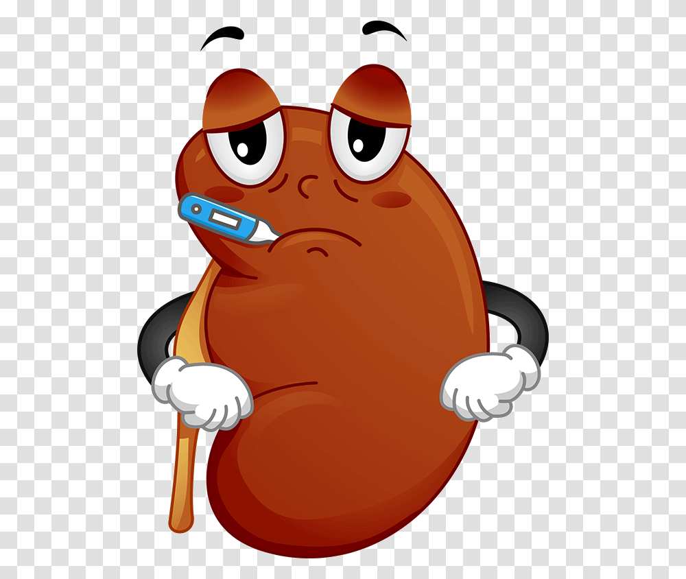Kidney Cliparts, Electronics, Head, Teeth, Mouth Transparent Png