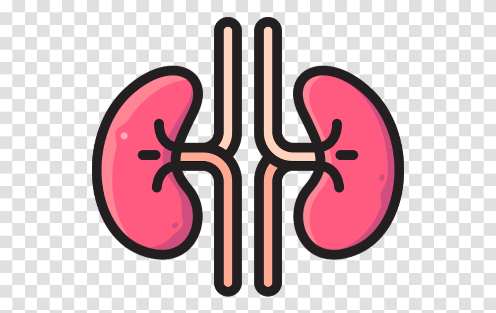 Kidney Free Vector Icons Designed Language, Trident, Emblem, Spear, Symbol Transparent Png