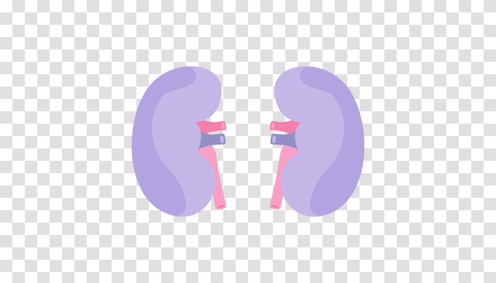 Kidney Human Organ, Mouth, Lip Transparent Png