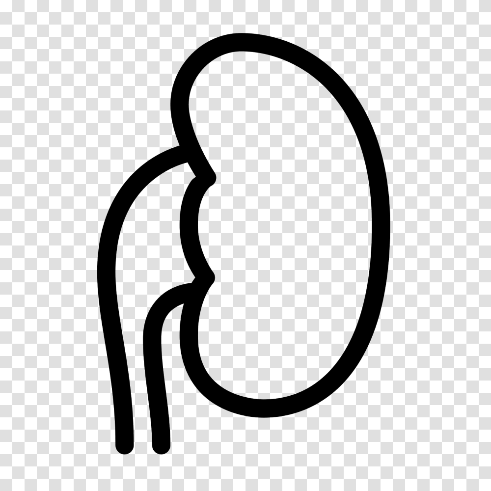 Kidney Icon, Gray, World Of Warcraft Transparent Png