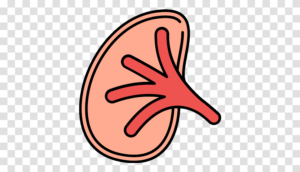 Kidney Icon Language, Plant, Sweets, Food, Logo Transparent Png