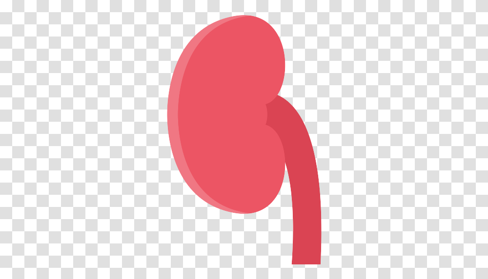 Kidney Icon Vertical, Balloon, Heart, Alphabet, Text Transparent Png