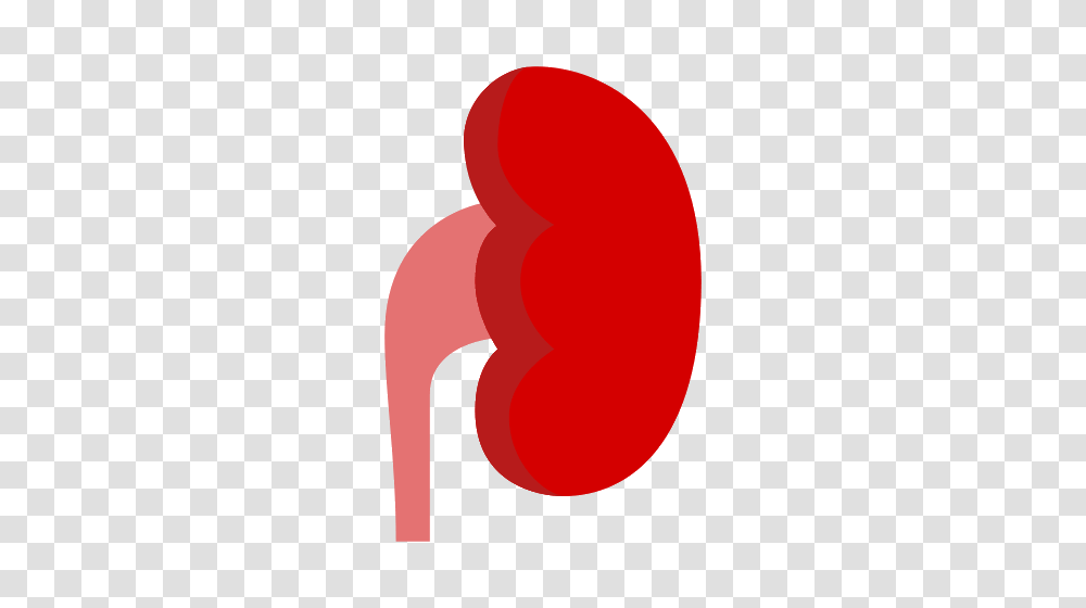 Kidney Icons, Alphabet Transparent Png