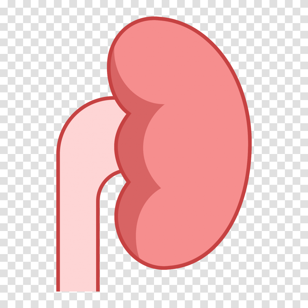 Kidney Image, Mouth, Lip, Ear Transparent Png