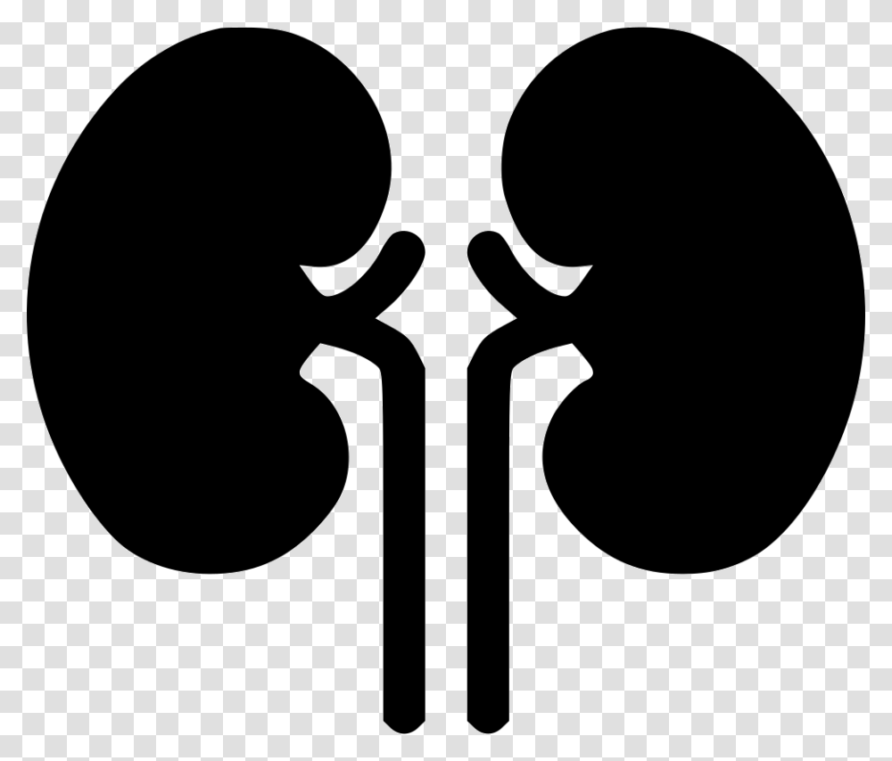 Kidney Organ Health Medical Health Renal Kidneys, Stencil Transparent Png