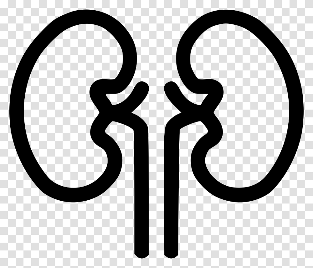 Kidney Organ Health Medical Health Renal Kidnies Icon Free, Stencil, Dynamite, Bomb Transparent Png